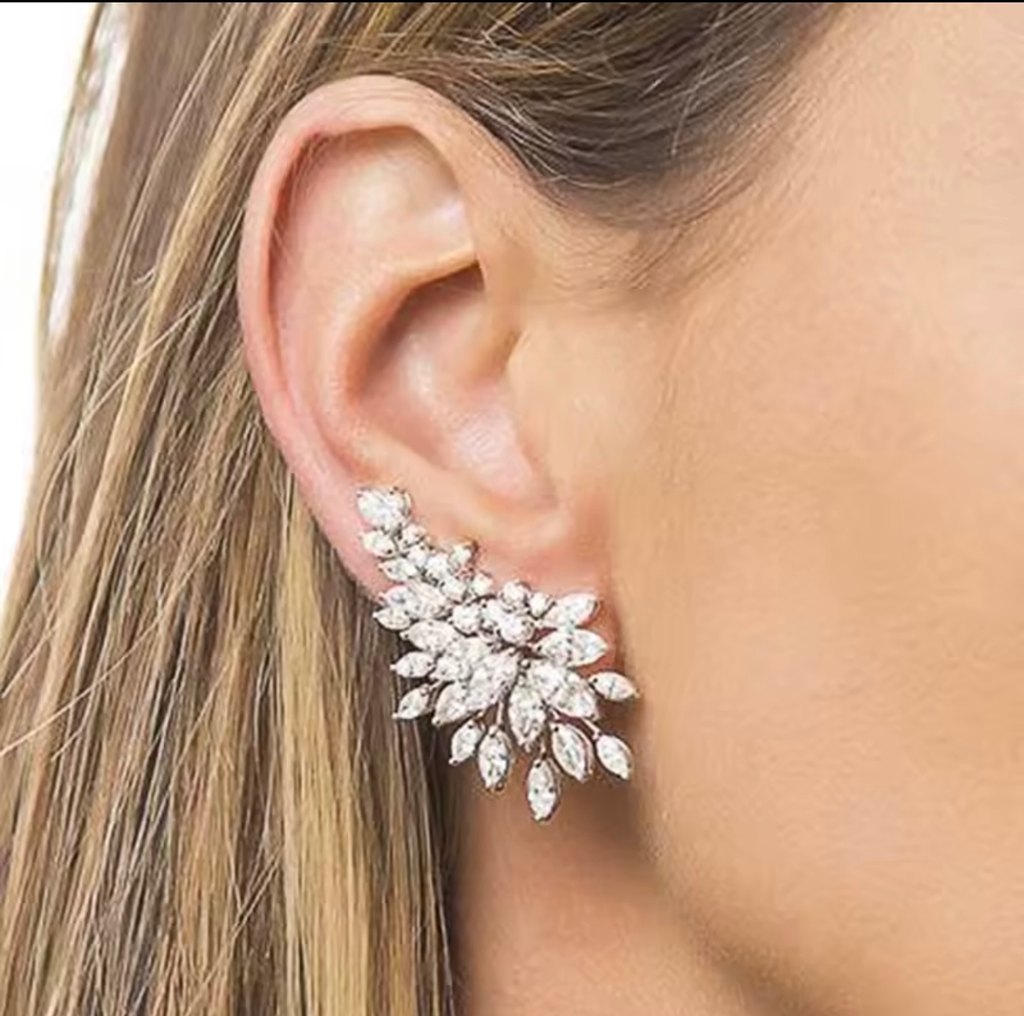 Arete Cristal Plateado Plata .925 con rodio 